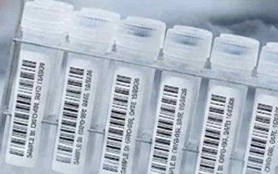 Etichette per Criogenia: Identificazione Sicura a -196°C